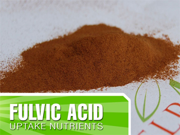 How To Use Fulvic Acid Powders?